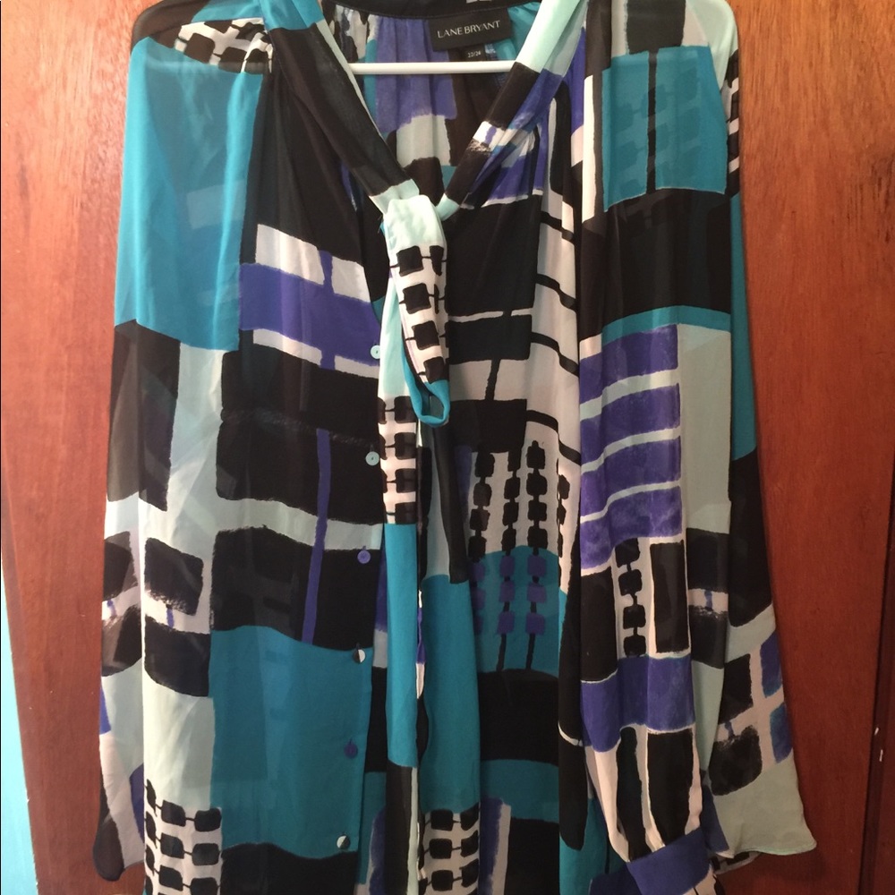 Lane Bryant size 22/24 blouse